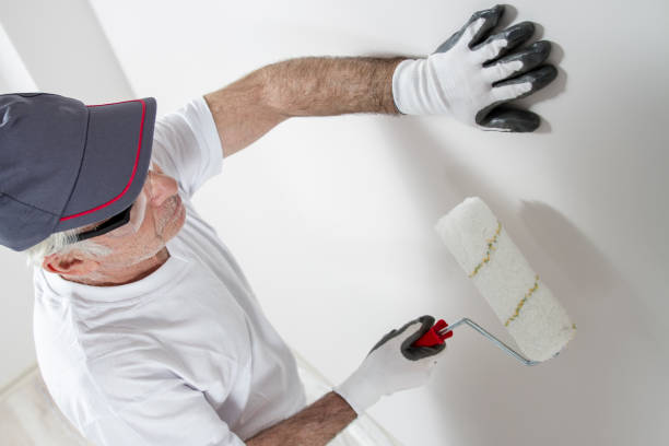 Trusted Charles City, IA Mold Removal Experts