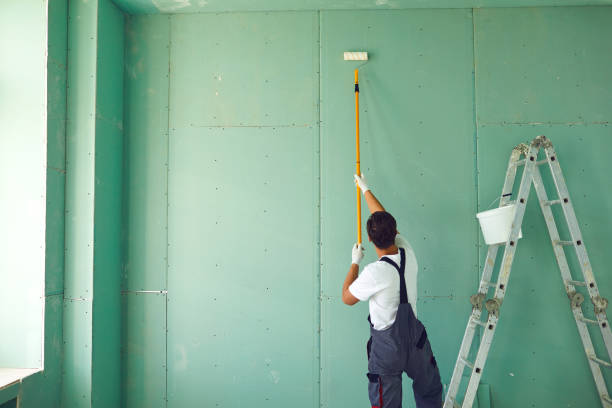 Best Basement Mold Removal  in Charles City, IA