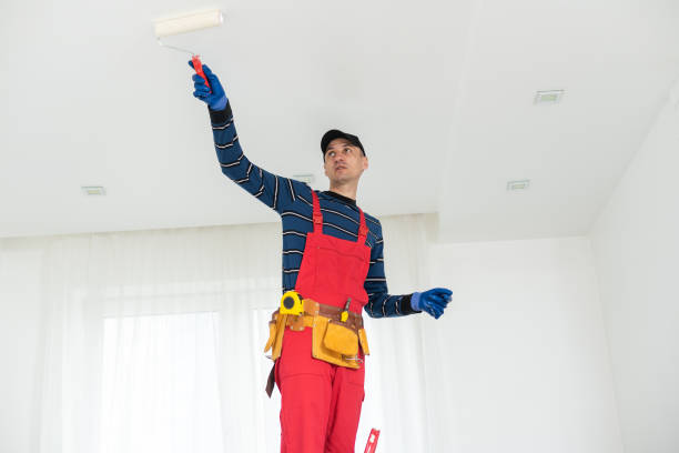 Best Post-Construction Mold Inspection  in Charles City, IA